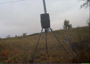 300 County Road 232 - Photo 7