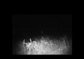 300 County Road 232 - Photo 9