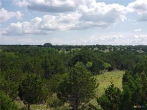 TBD County Road 1255 500 Acres - Photo 1