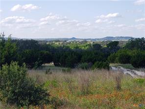 TBD County Road 1255 500 Acres - Photo 3