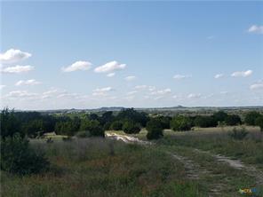 TBD County Road 1255 500 Acres - Photo 4