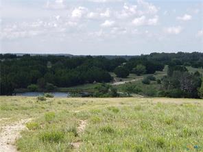 TBD County Road 1255 500 Acres - Photo 5