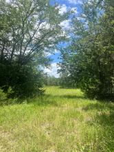 TBD FM 39 - Photo 10