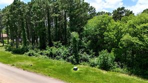Lot 339 Grand View Drive - Photo 5