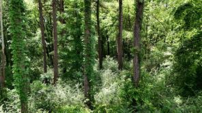 Lot 339 Grand View Drive - Photo 6