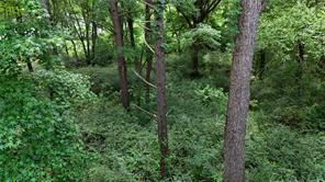 Lot 339 Grand View Drive - Photo 7