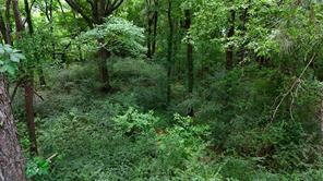 Lot 339 Grand View Drive - Photo 8