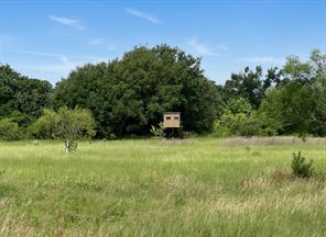38 White Wing Circle - Photo 1