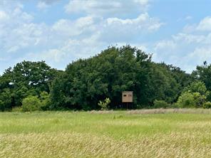 38 White Wing Circle - Photo 16