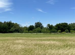 38 White Wing Circle - Photo 18