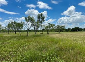 38 White Wing Circle - Photo 4