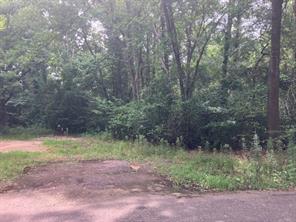 1315 N Fannin Avenue - Photo 1