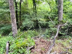 950 VZ County Road 1919 - Photo 1