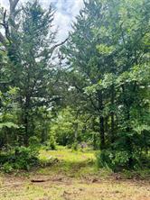 950 VZ County Road 1919 - Photo 11