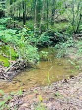 950 VZ County Road 1919 - Photo 3