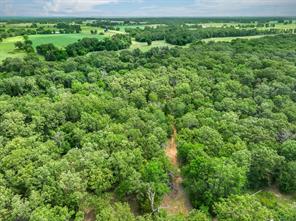 950 VZ County Road 1919 - Photo 4