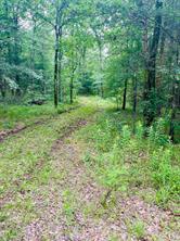950 VZ County Road 1919 - Photo 5