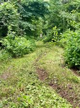 950 VZ County Road 1919 - Photo 6