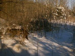9999 Private Road - Photo 13