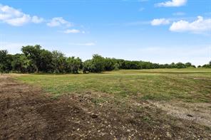 TBD Lot 2 FM 981 - Photo 8