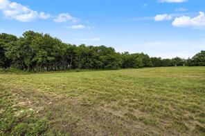 TBD Lot 1 FM 981 - Photo 9