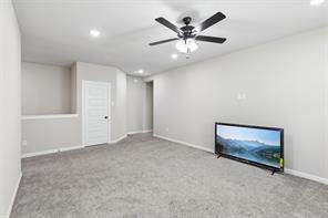 1047 Harmony Trail - Photo 19