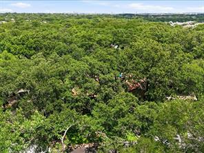 200 Timberlane Terrace - Photo 39