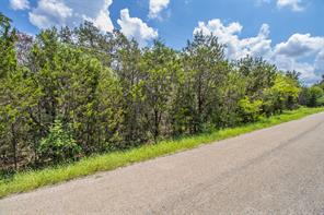 3619 Flint Rock Circle - Photo 5