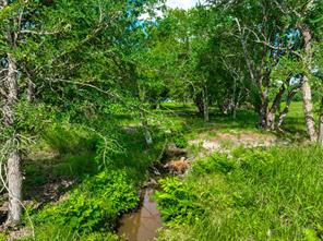 9253 US Highway 271 S - Photo 12