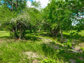 9253 US Highway 271 S - Photo 13