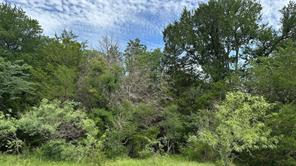 TBD LCR 786 - Photo 27