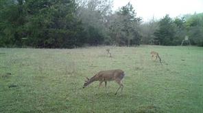 TBD LCR 786 - Photo 8