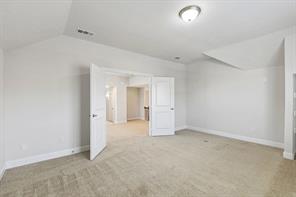 2901 Adon Springs Lane - Photo 9