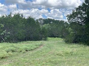 TBD W FM 2486 - Photo 15