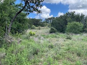 TBD W FM 2486 - Photo 17