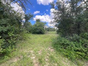 TBD W FM 2486 - Photo 18