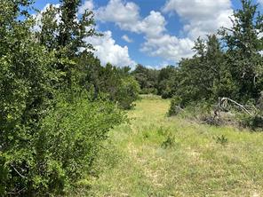 TBD W FM 2486 - Photo 19