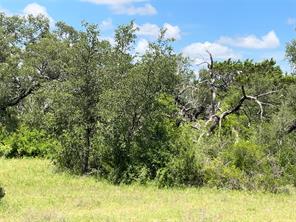 TBD W FM 2486 - Photo 20