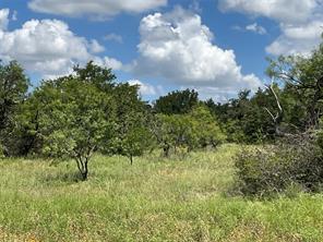 TBD W FM 2486 - Photo 21
