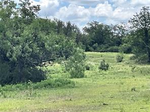 TBD W FM 2486 - Photo 25