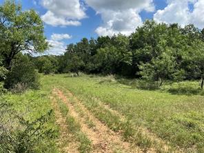 TBD W FM 2486 - Photo 27