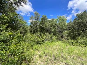 TBD W FM 2486 - Photo 28