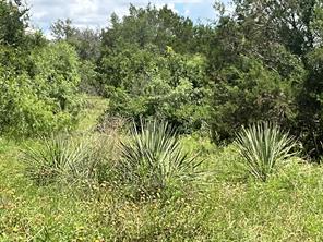 TBD W FM 2486 - Photo 3