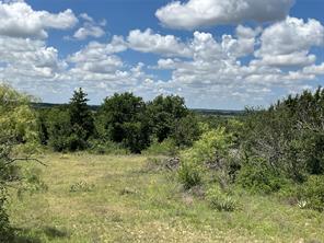 TBD W FM 2486 - Photo 34