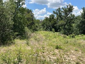 TBD W FM 2486 - Photo 35