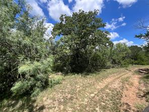 TBD W FM 2486 - Photo 37
