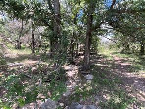 TBD W FM 2486 - Photo 38