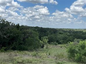 TBD W FM 2486 - Photo 40