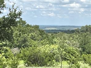 TBD W FM 2486 - Photo 8