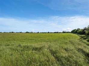 0 Hoffmeyer Lane - Photo 1